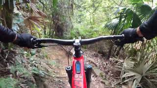 Frisky dingo into Bunker run wollongong mtb Bulli mtn flow and fun [upl. by Biles]