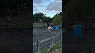 Slomo horse horseing equestrian viral [upl. by Oeniri]