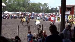 Cracker Day Rodeo Volusia Woman Attacked by Bull [upl. by Kasey]