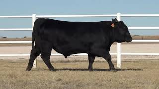 Lot 70 G A R Peyton EWA844 [upl. by Jesher886]