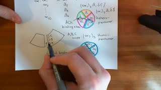 The Structure and Opening Mechanism of CysLoop Receptors Part 5 [upl. by Sondra]