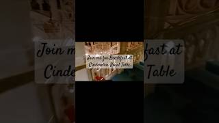 Walt Disney World Cinderellas Royal Table Dine with Princesses Magic Kingdom disneyworld [upl. by Kaylil411]