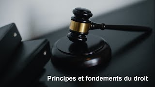 Principes et fondements du droit [upl. by Hueston]