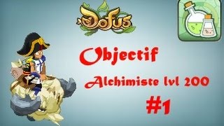 Dofus Monter Alchimiste lvl 200  Ep 1 lvl 1 à 40 Maj 229 [upl. by Faustus]