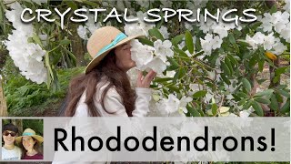 Visit the Rhododendron Garden in Portland Crystal Springs Rhododendron Garden [upl. by Firooc]