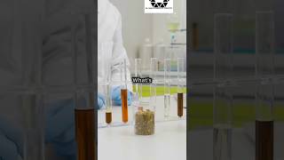 How does catalyst increase👍 the rate of a reactionchemistry support shorts [upl. by Rorrys]