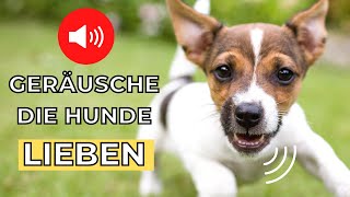 geräusche für hunde 🐶 lieblingsgeräusche von hunden [upl. by Izak]