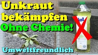 Einfaches Hausmittel Unkraut bekämpfen umweltfreundlich ohne Chemie  Gardening Tipp [upl. by Adamsen]