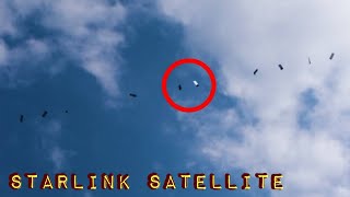 Starlink Satellites train seen in the sky LOW PASSE  Musk SpaceX [upl. by Yorled]