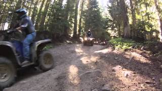 Naches Pass Trail  Washington ATV Adventure [upl. by Helbona259]