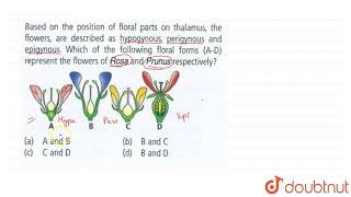 Based on the position of floral parts on thalamus the flowers are described as hypogynous [upl. by Refinnej]