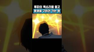 해군 시점에서 보는 정상결전 원피스 25주념 기념 ‘팬레터’ [upl. by Norvan652]