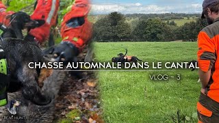 VLOG 3  CHASSE AUX SANGLIERS DANS LE CANTAL  SAISON 20242025 [upl. by Ydnyc]