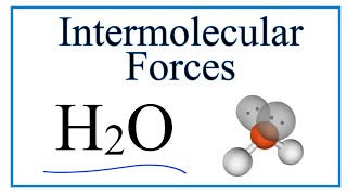 Intermolecular Forces for H2O Water [upl. by Jamille]