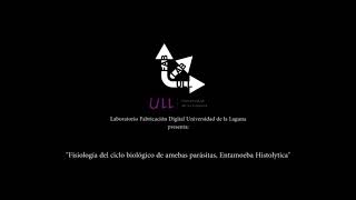 Entamoeba histolytica ANIMATION [upl. by Palmira]