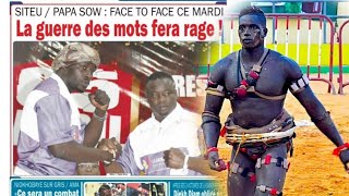 sen revue siteupapa Sow face à face ce mardi diekh Diam obligé de confirmer contre ibou afia [upl. by Illek377]