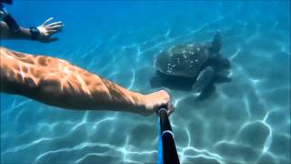 Snorkelling on Zakynthos 2015 Laganas beach Caretta Caretta [upl. by Ardiekal311]