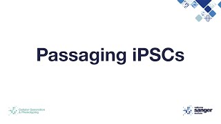 Passaging iPSCs [upl. by Eelasor813]