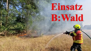 E Entstehungsbrand  150 m² Waldboden in Brand [upl. by Yemrots875]