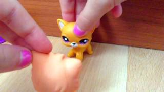 Littlest Pet Shop  quotSuperstar Lifequot Music Video [upl. by Silvio]