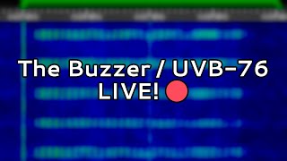 The Buzzer Pirates 4625 kHz  Live 🔴 [upl. by Broida]