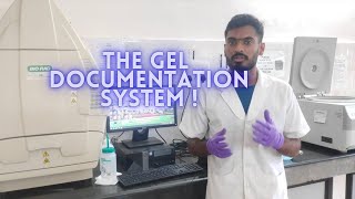 Analysis of gels in gel documentation system [upl. by Anilek299]