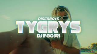 DiscoBoys  Tygrys  DJ BOCIAN REMIX  2024 [upl. by Airdnassac510]