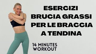 quotEsercizi Brucia Grassi per le Braccia a Tendina Rassoda e Tonifica con un Allenamento Miratoquot [upl. by Eurydice]