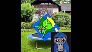 Why Is It Called A Hospital Flip memes gorillatag [upl. by Ilil]