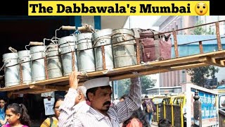 Have you heard about these Dabbawalas from Mumbai 😲  Lunch box facts dabbawala mumbai india [upl. by Alexine118]