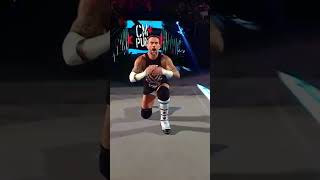 CM Punk Entrance  WWE Bash in Berlin [upl. by Ennaisoj613]