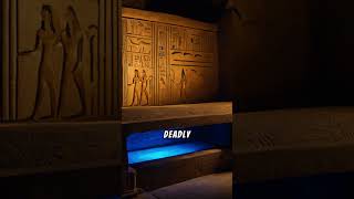 The Discovery of King Tutankhamuns Tomb Unveiling Ancient Secrets [upl. by Furlani393]