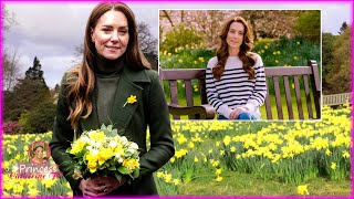 Significance Behind The Daffodils In Catherines Video When She Brave Revealed Her Cancer To World [upl. by Gora96]