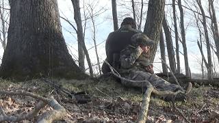 2018 West Virginia Turkey Hunt 2 [upl. by Eirod]