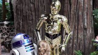 C3PO talks with guests at Disneys Hollywood Studios during Star Wars Weekends [upl. by Ymaral]