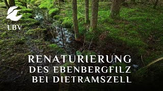 Renaturierung des Ebenbergfilz bei Dietramszell Kreis Bad TölzWolfratshausen [upl. by Urias]