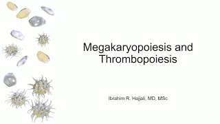 Megakaryopoiesis and Thrombopoiesis [upl. by Dreda]