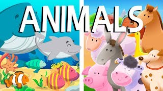 Animal Learn Compilation  Educational Videos in English  Little Smart Planet [upl. by Annoled]