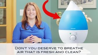 NEW Cool Mist Humidifier For Your Home Office Bedroom Baby Room [upl. by Herbst]