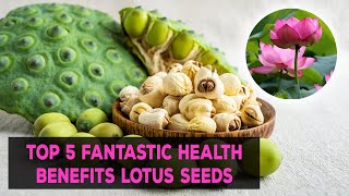 Lotus Seeds amp Top 5 Fantastic Health Benefits Of Lotus Seeds [upl. by Sutelc]