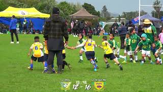 PASIFIKA WELLBEING CARNIVAL 2024 U6 KUKI GREEN VS CM NIUE REDMOUNTFORT PARK [upl. by Housen]