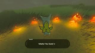 Korok seeds  Ulri Mountain  Akkala Tower 1718  Zelda BOTW [upl. by Melvyn]