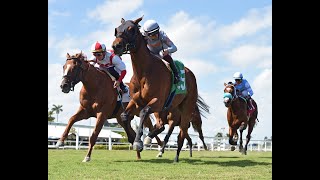 Gulfstream Park Resumen  20 de Marzo 2024 [upl. by Eenimod]