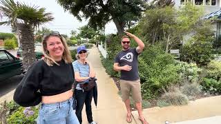 Rescuing a MASSIVE Brahea edulis Guadalupe Palm from Ocean Beach San Diego [upl. by Sallyann]