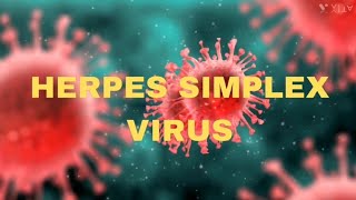 Herpes simplex virus  Keratitis  OPHTHALMOLOGY  USMLE  NEETPG  INICET  MBBS  Medical science [upl. by Yma27]