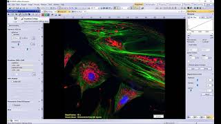 Setting up a Prime BSI Express in Olympus CellSens Software [upl. by Harlin]