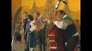 Ans Franca Miheliča  Košček domovine live 1984 [upl. by Inaliel]