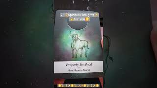 7️⃣ Spiritual Insights for You🌙 Moonology Oracle Cards Reading✨️ 1111 journey to light💫 amp love🌕 [upl. by Naujtna]