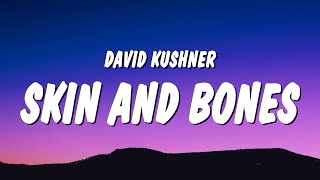 David Kushner  Skin and Bones Lyrics quotwrap me in your skin and bonesquot [upl. by Cross]