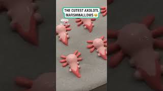 The cutest axolotl marshmallows 🥹☕️ 🎥 Instagram  cookingwithamyy [upl. by Prescott787]